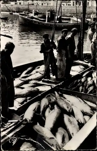 Ak Saint Jean de Luz Pyrénées Atlantiques, La Peche aux Thons