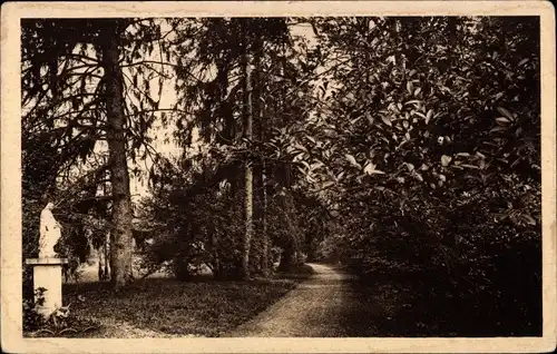 Ak Pau Pyrénées-Atlantiques, Pensionnat Sainte Ursule de Pau, Le Parc, L'Allee de l'Est