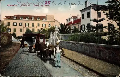Ak Funchal Insel Madeira Portugal, Carro de bois, Männer mit Ochsenschlitten