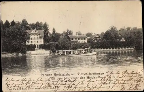 Ak Hertenstein Weggis Kanton Luzern, Pension, Vierwaldstättersee, Motorboot