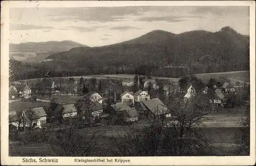 Ak Kleingießhübel Reinhardtsdorf Schöna in Sachsen, Panorama der Ortschaft