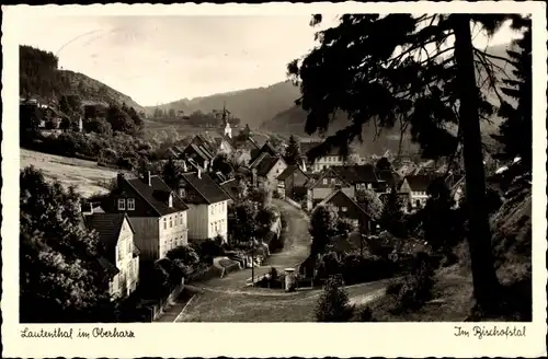 Ak Bergstadt Lautenthal Langelsheim am Harz, Bischofstal