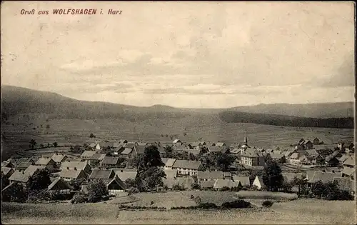 Ak Wolfshagen Langelsheim am Harz, Panorama