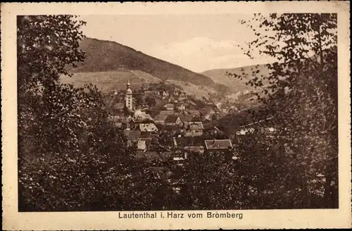 Ak Lautenthal Langelsheim im Oberharz, Panorama