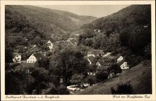 Ak Auerbach Bensheim an der Bergstraße in Hessen, Hochstädter Tal, Wohnhäuser, Wald