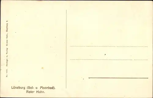 Ak Lüneburg in Niedersachsen, Roter Hahn