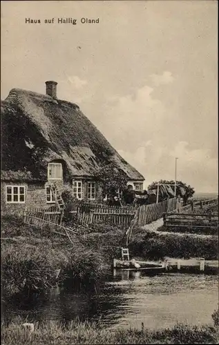Ak Hallig Oland in Nordfriesland, Reetdachhaus