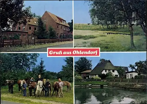 Ak Ohlendorf Seevetal in Niedersachsen, Landschaft, Ausritt, Gehöft