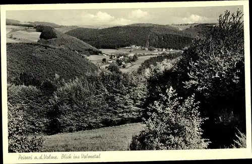 Ak Priorei Volme Hagen in Westfalen Ruhrgebiet, Blick ins Volmetal