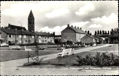 Ak Halfweg Haarlemmermeer Nordholland, Oranje Nassaustraat, Plantsoen