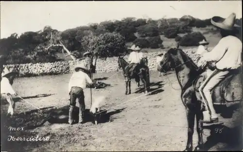 Foto Ak Mexiko, Herradero, Brandmarken einer Kuh, Cowboys