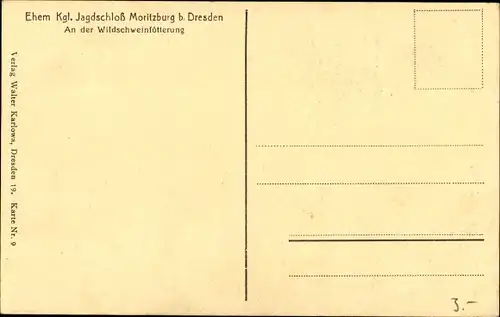 Ak Moritzburg in Sachsen, Ehem. Kgl. Jagdschloss, Wildschweinfütterung