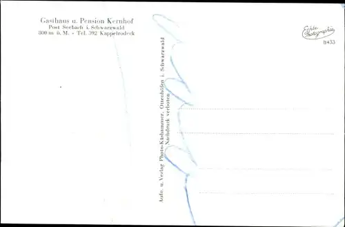 Ak Seebach in Baden Schwarzwald, Gasthaus Kernhof, Rheinebene, Kuhweide