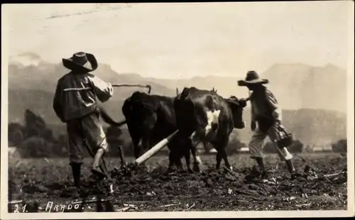 Foto Ak Mexiko, Bauern mit Rinderpflug auf dem Feld