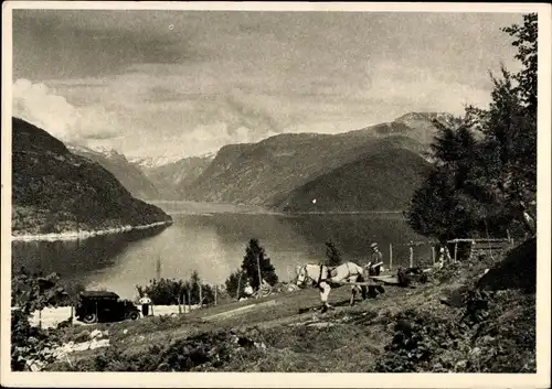 Ak Hardanger Norwegen, Blick auf den Ort, Pferdepflug