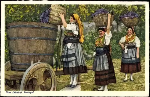 Ak Minho Portugal, Bringing in the grapes, Weinanbau, Weintrauben