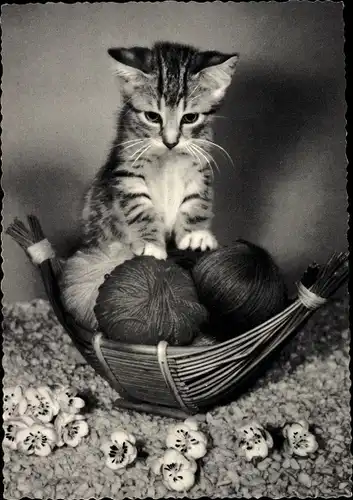 Ak Kleine getigerte Katze mit Wollknäueln