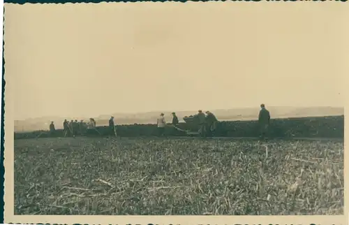 Foto Ak Kemberg in der Dübener Heide, Straßenbau, Entschlammung des Kemberger Teiches