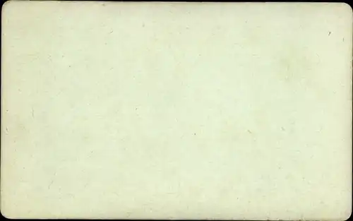 Foto Oertel, Eduard, Berlin Tiergarten, um 1875, Goldfischteich im Tiergarten