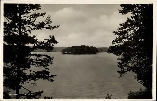 Ak Ruciane Nida Niedersee Masuren Ostpreußen, Blick auf den Niedersee, Insel