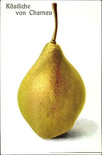 Ak Köstliche von Charneu, Birne