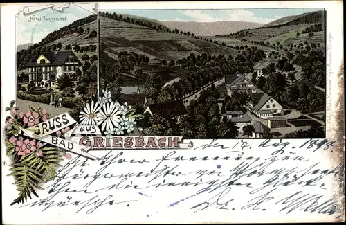 Litho Bad Griesbach im Schwarzwald, Hotel Tannenhof, Panorama