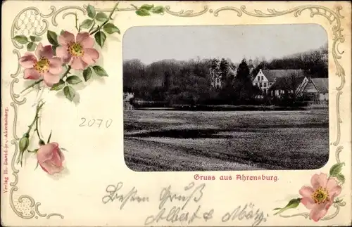 Ak Ahrensburg im Kreis Stormarn, Blick auf den Ort, Blumen