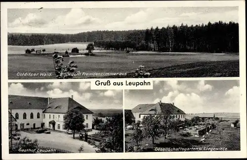 Ak Leupahn Königsfeld Sachsen, Colditzer Wald, Gasthof, Liegewiese