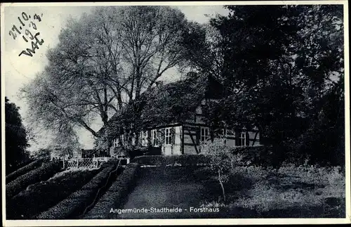 Ak Angermünde in der Uckermark, Stadtheide, Forsthaus