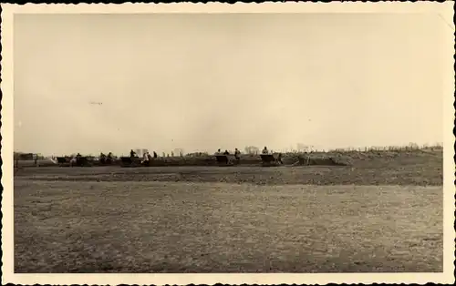 Foto Ak Bleddin Kemberg in der Dübener Heide, Wiese