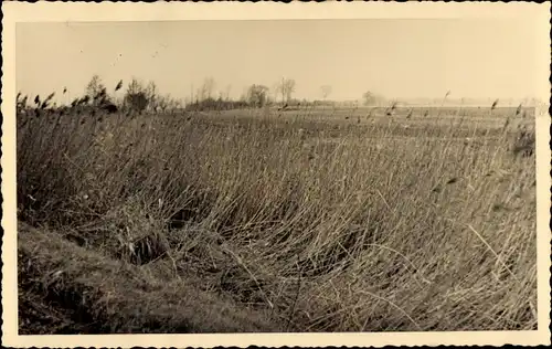 Foto Ak Bleddin Kemberg in der Dübener Heide, Feld, Wiese, einst Sumpf