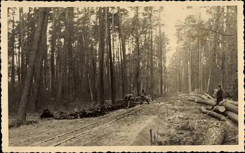 Foto Ak Kemberg in der Dübener Heide, Waldpartie, Eisenbahnbau, Weg wird geschüttet