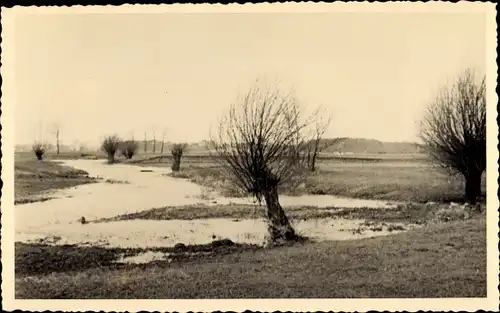 Foto Ak Prühlitz Hohndorf Zahna Elster Kreis Wittenberg, Alter Bach