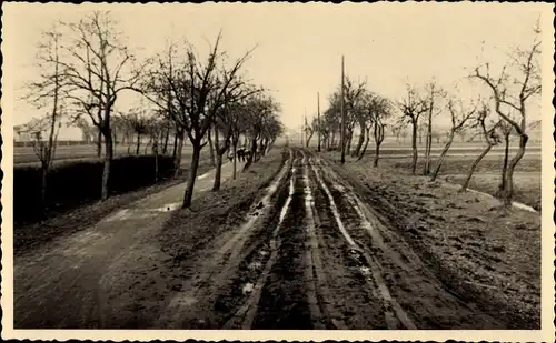 Foto Ak Lutherstadt Wittenberg, Straßenbau