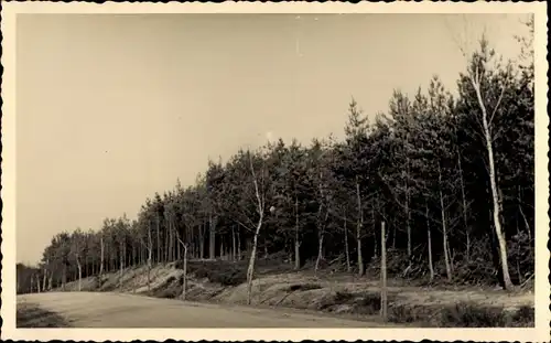 Foto Ak Zerbst in Anhalt, Radfahrerstraße