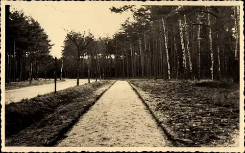 Foto Ak Zerbst in Anhalt, Radfahrerstraße, Straßenbau