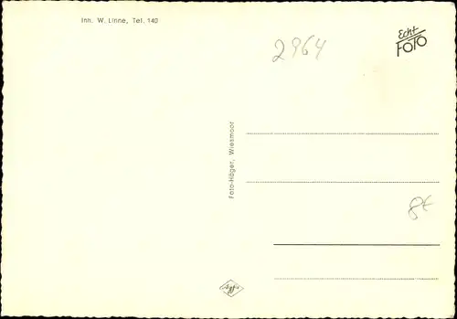 Ak Wiesmoor in Ostfriesland, Blauer Fasan