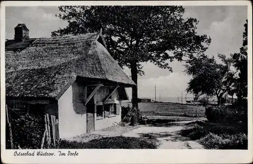 Ak Ostseebad Wustrow Fischland, Dorfpartie