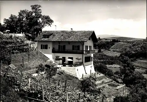 Ak Kaltern an der Weinstraße Caldaro sulla Strada del Vino Südtirol, Pension Seeblick