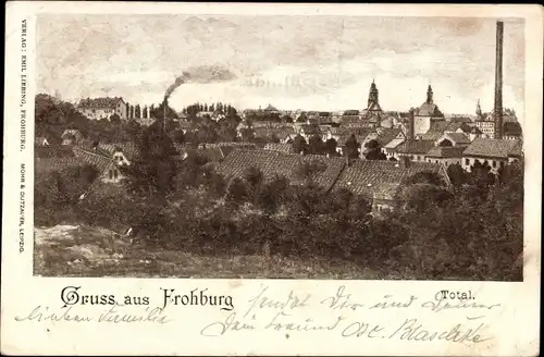 Ak Frohburg in Sachsen, Totale