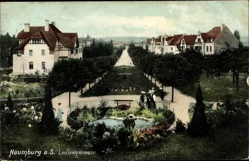 Ak Naumburg an der Saale, Louisenstraße, Wohnhäuser und Parkanlagen, Teich