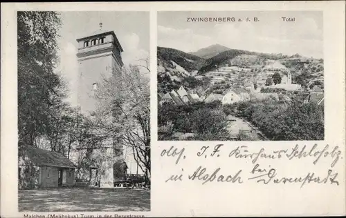 Ak Zwingenberg an der Bergstraße in Hessen, Malchen Melibokus, Turm in der Bergstraße, Total