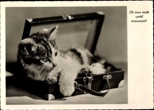 Ak Ob man mich wohl mitnimmt, Katze in einem Koffer