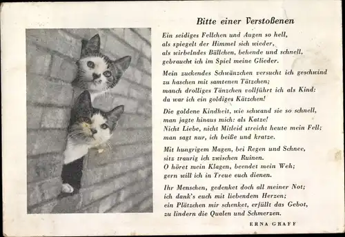 Gedicht Ak Erna Graff, Bitte einer Verstoßenen, zwei kleine Katzen