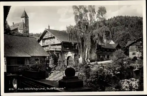 Ak Międzygórze Wölfelsgrund Schlesien, Teilansicht der Ortschaft