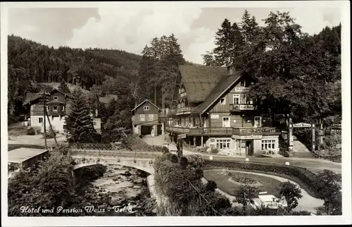 Ak Międzygórze Wölfelsgrund Schlesien, Hotel und Pension Weiss