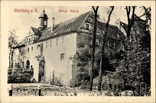 Ak Mühlberg an der Elbe, Kgl. Schloss