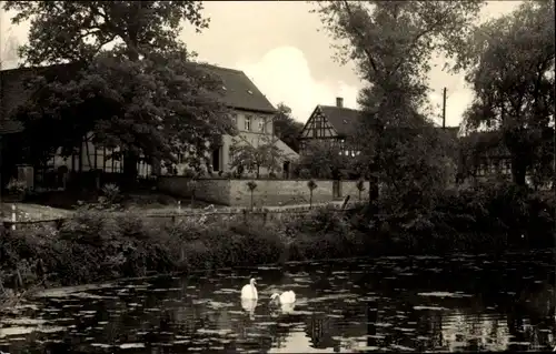 Ak Weißbach Schmölln in Thüringen, Teilansicht, Teich