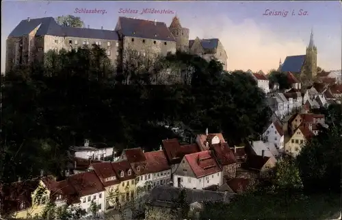 Ak Leisnig in Sachsen, Schlossberg, Schloss Mildenstein