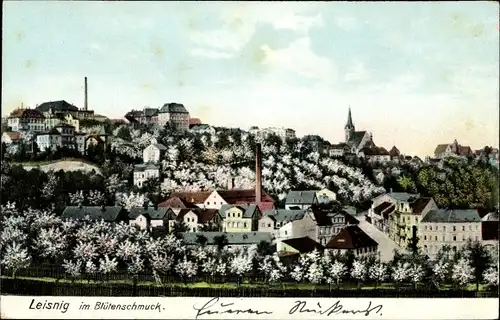 Ak Leisnig in Sachsen, Panorama, Blütenschmuck